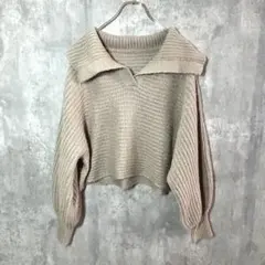 ✨良品✨ GRL グレイル 【F】 ビッグカラー ニット セーター トレンド