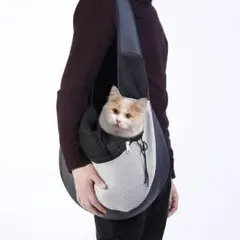 Item thumbnail for item 4bab2445-68da-47cc-a0ac-328da50ae35f