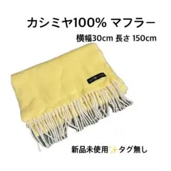 Item thumbnail for item 3a54bd02-4d9c-4472-ae83-93d942eef081