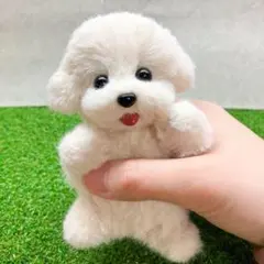 羊毛フェルト犬 マルチーズ トイプードル マルプー ぬいぐるみ #227