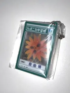 ジャポニカ学習帳 豆学習帳 ガチャ