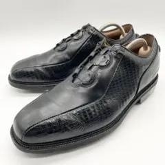 Item thumbnail for item 8f828e9e-19a2-4ba5-a371-bb1d6cf755d6