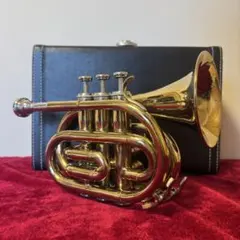 Item thumbnail for item 6d24c42a-c178-48af-ba38-b719805adb12