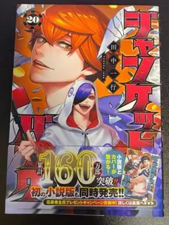 ジャンケットバンク20巻 初版 チラシ有り 帯無し 田中一行先生 - メルカリ