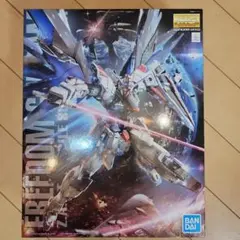 MG フリーダムガンダム Ver.2.0 1/100のサムネイル