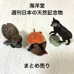 2025年最新】週刊日本の天然記念物の人気アイテム - メルカリ