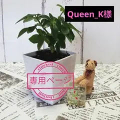 Item thumbnail for item 324909f5-a95b-45ab-b8cf-1dea4157d191