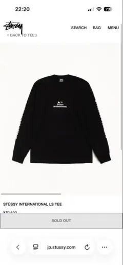 48時間限定価格‼️STUSSY INTERNATIONAL LS TEE