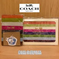 新品未使用｜COACH マルチカラー ストライプ ブックカバー　ロゴカレンダーのサムネイル