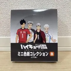 ハイキュー!!10周年記念ミニ色紙コレクションB 全10種