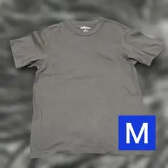 Item thumbnail for item 6cbf0a64-7993-4e6f-892b-1f83e8ba7be1