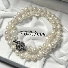 71907443_1