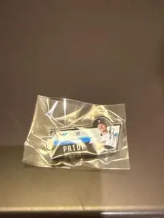 埼玉西武ライオンズ 栗山巧 PR1DEグッズ 所沢駅限定キーホルダー ガチャ