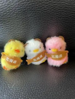 ひよこのおかげ　ぴよりーな　北海道ひよこ