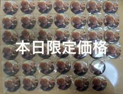 あんスタコラボ プロセカ グリッター缶バッジ 東雲彰人 グリ缶