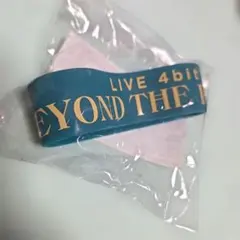 Item thumbnail for item fa4edfd1-0789-425a-8089-d529bfb8f61e