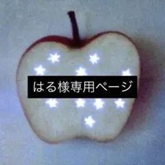 【はる様専用】フルオーダーネイルチップ