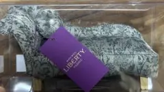 Item thumbnail for item 084bde71-4179-4973-9453-e111f7e13c7d