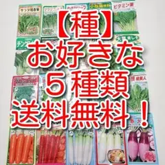【種】オクラなど♪　お好きな５種類！のサムネイル