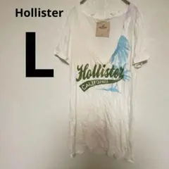 1点物❣海外古着✨Hollister Vネック半袖Tシャツ L ホワイト 白
