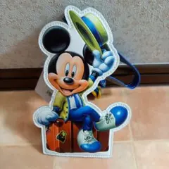 ディズニーランド バケーションパッケージ チケットホルダー