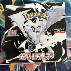 ホワイトフレア　1BOX 新品　未開封