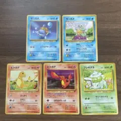 旧裏　ポケモンカード　まとめ売り　ゼニガメ　ヒトカゲ　フシギダネ
