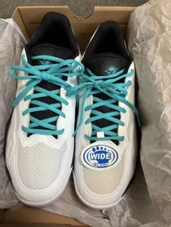 MIZUNO WAVE ENFORCE WIDE 3E 28㎝テニスシューズのサムネイル