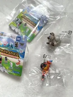 ポケモンゲットコレクションズ　カルボウ　イワンコ　新品