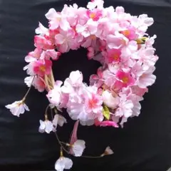 Item thumbnail for item d1e443eb-208f-4507-b0a2-1ad015a07b6f