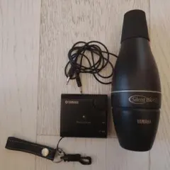 Item thumbnail for item d9e23e7c-6360-4ff0-8e8f-62aaf028cba7