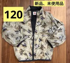 Item thumbnail for item 611bc87c-c844-42a4-b90f-e5d883e5b6ba