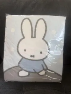 Item thumbnail for item d873e351-deba-4f64-b6f0-cc59efd7445a