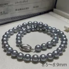 極】本真珠 あこや黒真珠 宝石鑑別書付 玉サイズ8.00mm刻印シルバー