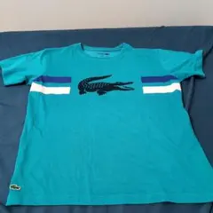 LACOSTE SPORT Tシャツ 164cm