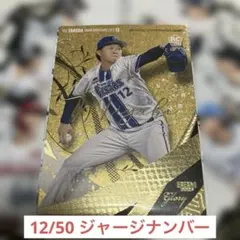 Item thumbnail for item 1e3822b1-afb4-4d23-a0a0-1f30b7fc795f