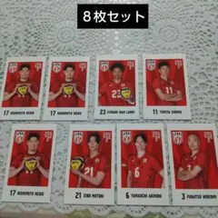 日本代表男子バレーボール選手カード キャラポトレ8枚セット