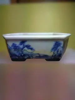 盆栽鉢 水盤 支那鉢 唐物 中国 古渡 古伊万里 染付け 時代鉢 - メルカリ