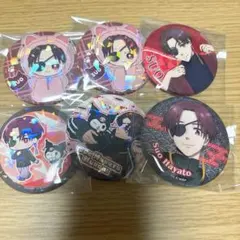 WIND.BREAKER 蘇枋隼飛 缶バッジ セット