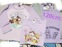 パウ・パトロール　パジャマ　120cm　ハッピーバッグ　パープル　新品未使用