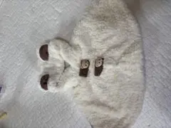 Item thumbnail for item 36952dd5-684c-44e4-943b-f8ca5c146f51