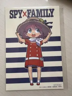 HASEYOU様 リクエスト 2点 まとめ商品