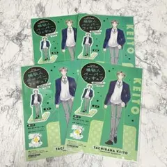 多聞くん今どっち⁉︎ 橘敬人 特典 ペーパーフィギュア