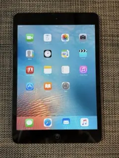 iPad mini 初代 16GB スペースグレー