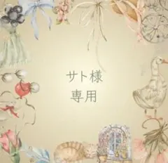 サト様専用　オーダーネイルチップ