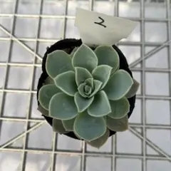 キノ様 リクエスト 3点 まとめ商品