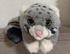 ちょこんとてのひらシリーズ マヌルネコ 2匹セット - メルカリ