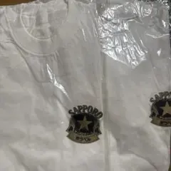 Item thumbnail for item 6888be5c-b234-4571-b213-bf9a717e1748