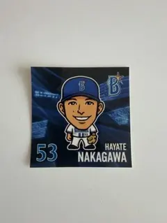 2026年最新】ベイスターズ中川颯の人気アイテム - メルカリ