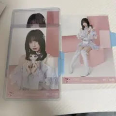 野口衣織生写真セミコンプ